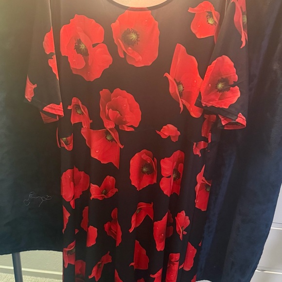 Floral Dress with Red Poppies - Picture 1 of 2